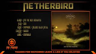 Watch Netherbird Mercury Skies video