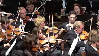 Swan Lake Dance Of The Little Swans Tchaikovsky Yuri Botnari Mpo Swan Lake Dance Of The Little Swans Tchaikovsky Yuri Botnari Mpo
