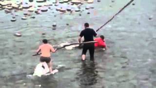 видео ловля на палку видео ловля на палку