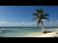 Relaxing 3 Hour Video of Tropical Beach with Blue Sky White Sand and Palm Tree
