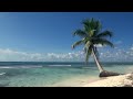 Relaxing 3 Hour Video of Tropical Beach with Blue Sky White Sand and Palm Tree