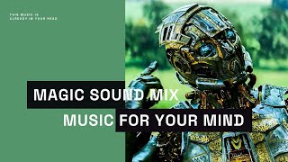 Музыка Без Авторских Прав | 2022 | No Copyright Sound |Bot Fight - Everen Maxwell