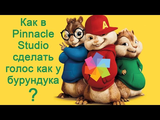 Как сделать тоненький голосок как у бурундуков Как сделать тоненький голосок как у бурундуков