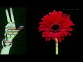 Exquiste Corpse Remix Game at EFF Portland (2013 Experimental Film Festival)