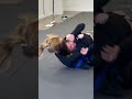 Girls BJJ beats high school wrestler boys