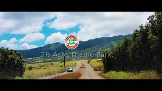 Kamaaina K9 Adventures Overview