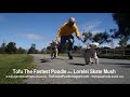 Dog Mushing with Little Dogs on Rollerblades – Tofu The Fastest Poodle and Lorelei