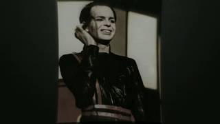 Watch Gary Numan The Image Is video