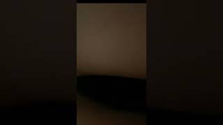 Priv Arigameplays