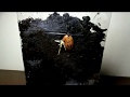 YouTube YouTube