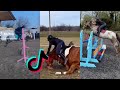THE BEST HORSE RIDING TIKTOK COMPILATION SHOWJUMPING 2022 #3