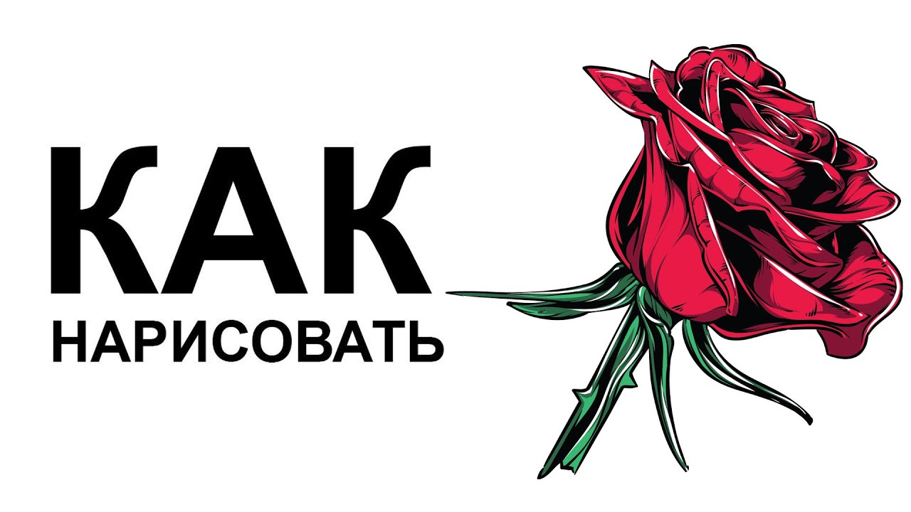 Как розу поэтапно Как розу поэтапно