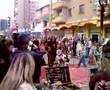 mohicans in alba
