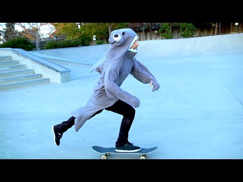 Gruesome Shark Attack!