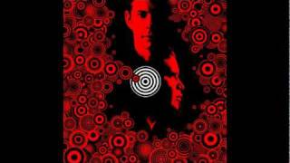 Watch Thievery Corporation The Hearts A Lonely Hunter video