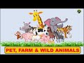 Pet, Farm, and Wild Animals | Types of Animals for Kids