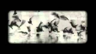 Watch Neils Children Another Day video