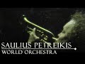 Saulius Petreikis - Sapnas (meditation music, relaxing music, calming music, peaceful music)