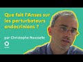 Que fait l'Anses sur les perturbateurs endocriniens ?