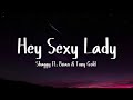 Shaggy ft. Brian & Tony Gold - Hey Sexy Lady (Lyrics)
