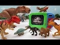 Jurassic World Dinosaur Disappeared! Find Dinosaur In Jungle - T-Rex, Triceratops