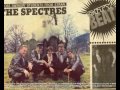 Teddie Palmer.The Spectres.The Facts of Life.avi