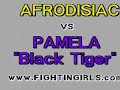 AFRODISIAC vs PAMELA
