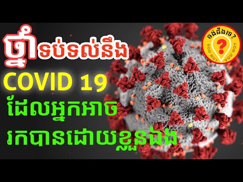 Best food for Covid 19 time អាហារល្អបំផុតសម្រាប់ពង្រឹង ប្រព័ន្ធភាពស៊ាំ