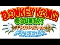 Donkey Kong Country Tropical Freeze Music; Ocean (Aquatic Ambience remix)