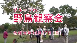グループわ 2019年 野鳥観察会記録