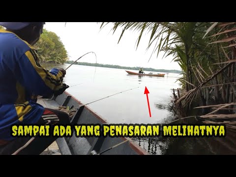 Tarikan Keras Dari Sang Penunggu Sungai Muara || Shrimp Fishing