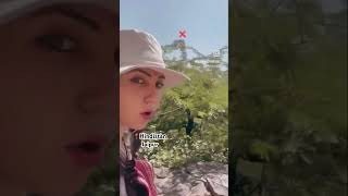 Hindistanda İnthar Etmek Günah Değil Hatta Iyi Birşeyüzücü Değl Mi?İnsagrm .Voyageuse