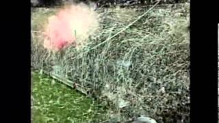 K_-7WbYBLPQ Video Image