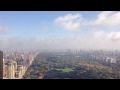 the view
