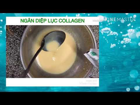 Cách làm bánh Flan bằng nồi com điện