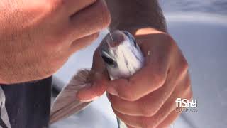 Catching Flying Fish with Tips