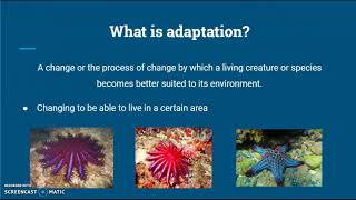 Flipped Classroom #2 Ocean Life Science
