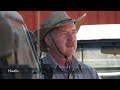 Nguni Cattle Farm