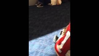 Fat Guy Nose Tickle