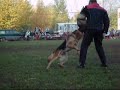 Видео для  