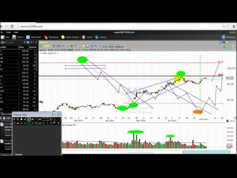 How to trade forex like a pro in one hour