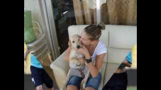 K_QDrmo0mEw Video Image