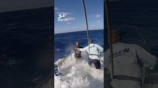 Fishing In Extreme Waves