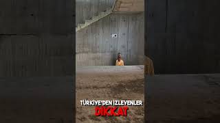 Tenge Tenge Nin Terk Edi̇lmi̇ş Evi̇ne Gi̇rdi̇m Sakın Izleme - Mert Yazar