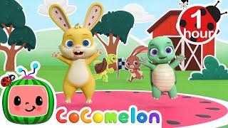 Tortoise And The Hare Dance Party | Cocomelon Nursery Rhymes & Kids Songs