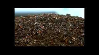 Shahsavand Com Common Teaser 3 Swf