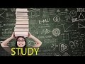 Study Music Alpha Waves: Focus Music, Concentration Music, Studying Music, Work Music ☯369