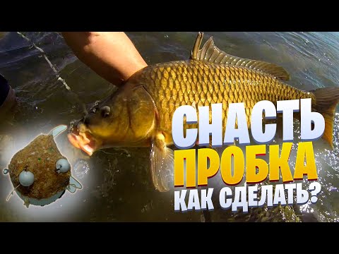 Самодельные снасти ловли карася карпа Самодельные снасти ловли карася карпа