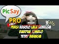 #QUOTES #PICSAYPRO #Pete_art
Cara membuat"QUOTES "di picsay pro