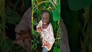 Taka Taka Tranding Video Surajroxfunnyvibeo
